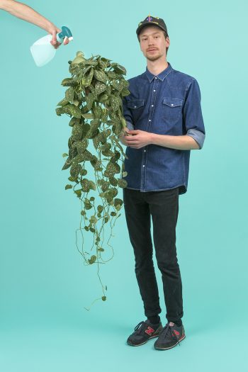 NMP-TEAM-20173424-DEF_light