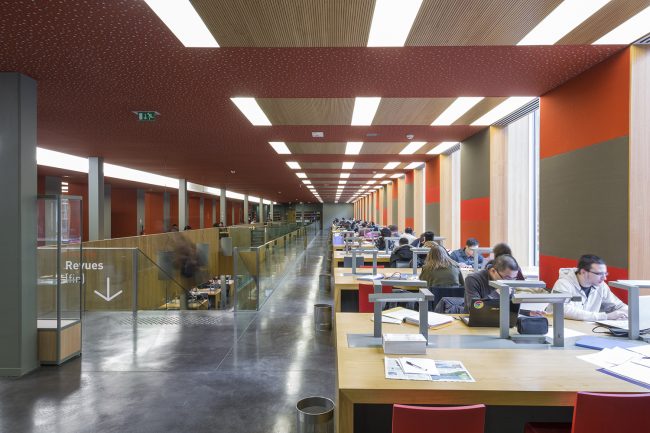 Reportage Université de Jussieu