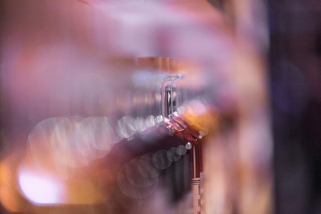 MARTELL 300 ans @ Chateau de Versailles