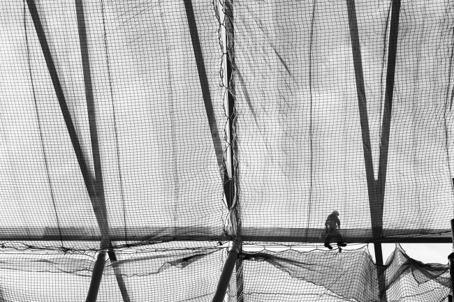 _mg_0886-jussieuest-octobre-2014_light