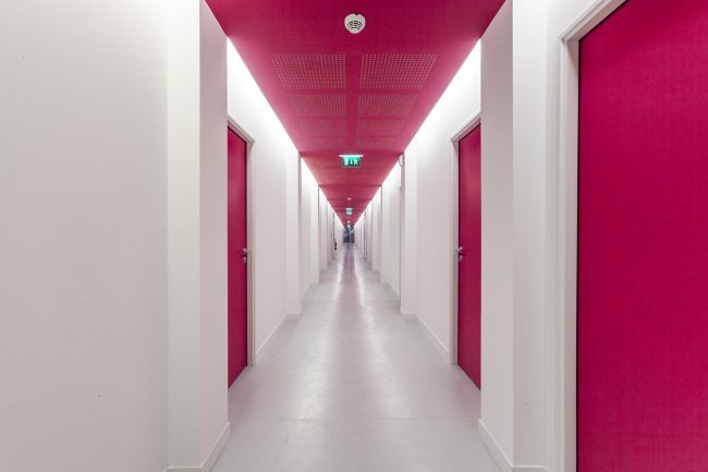 _mg_2096-mshnord-décembre2014_light