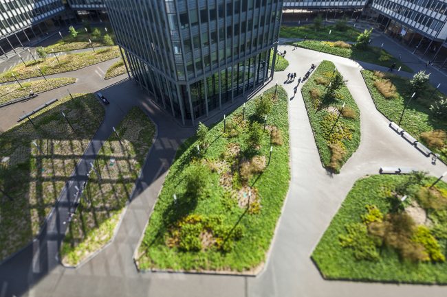 Reportage chantier Université de Jussieu